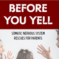 Before You Yell guide cover, parents arguing over calm child covering ears