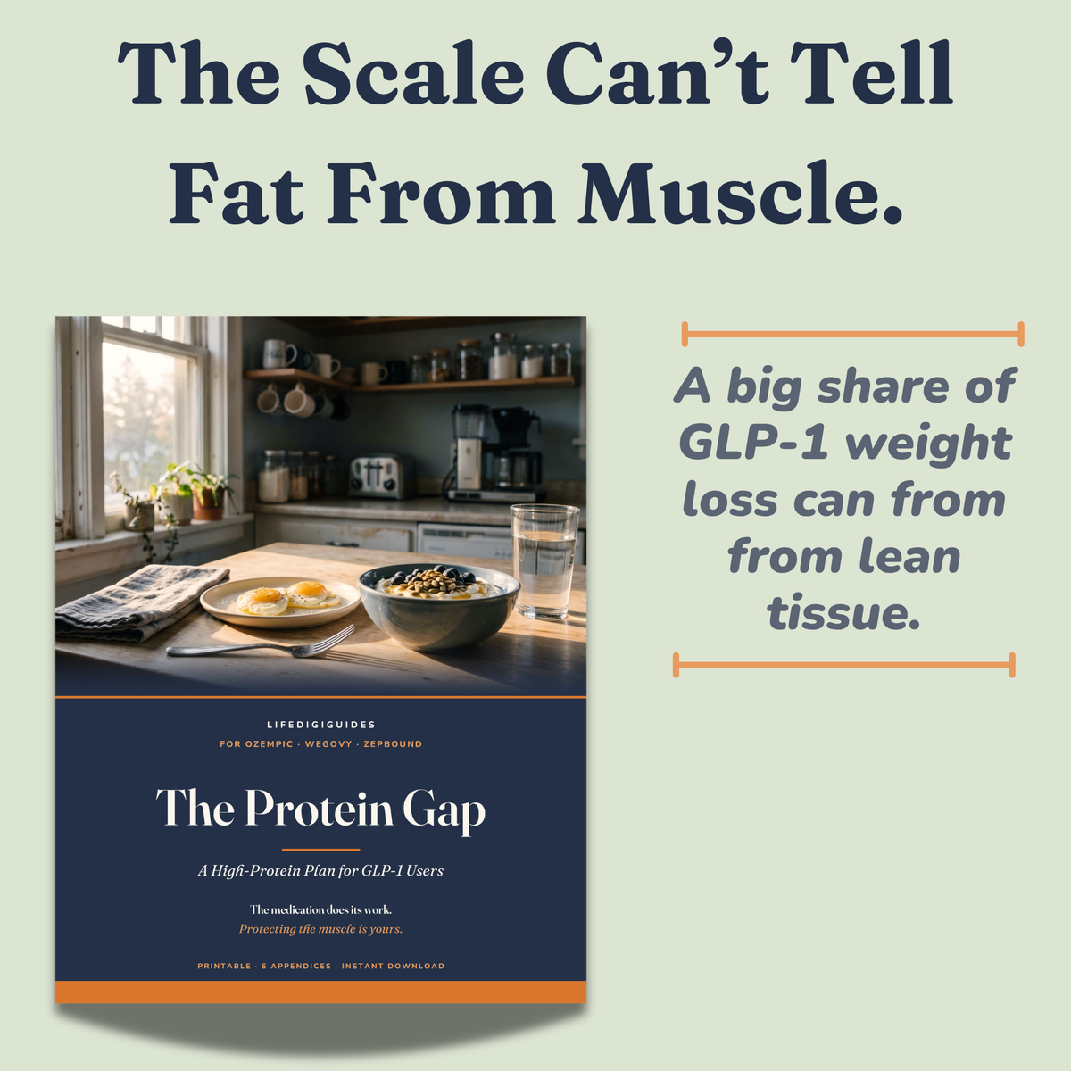 The Protein Gap high-protein GLP-1 nutrition guide cover