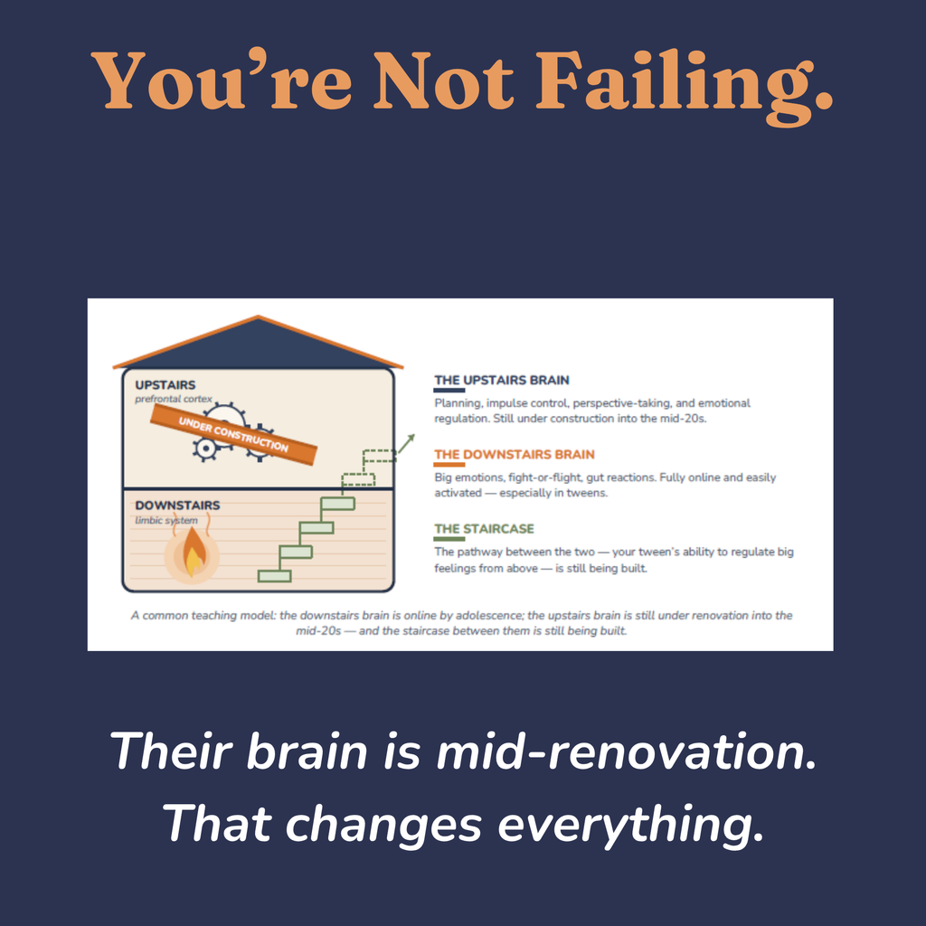 Diagram of the upstairs and downstairs brain in a tween