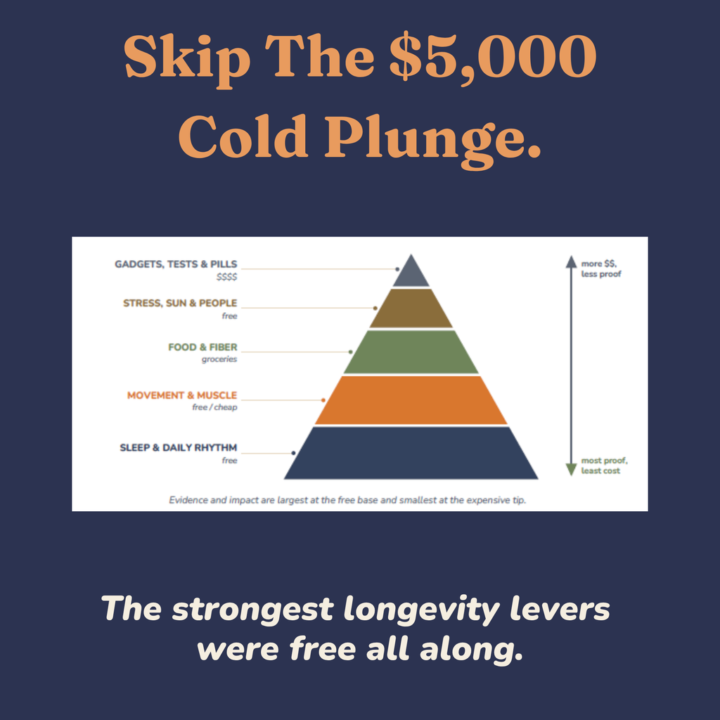 Pyramid diagram of the highest-value free longevity habits