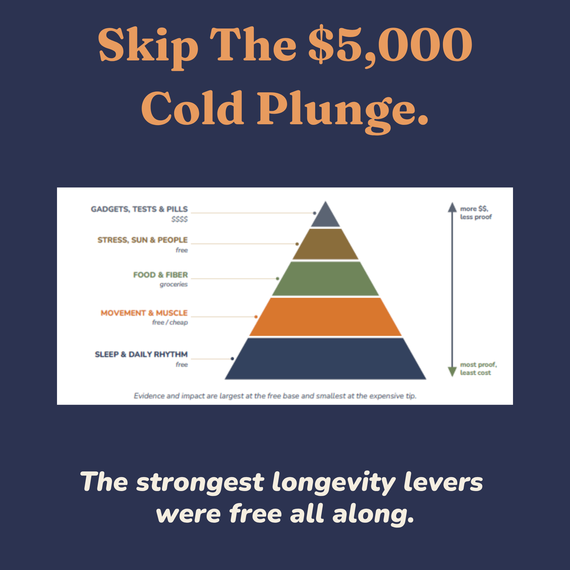 Pyramid diagram of the highest-value free longevity habits