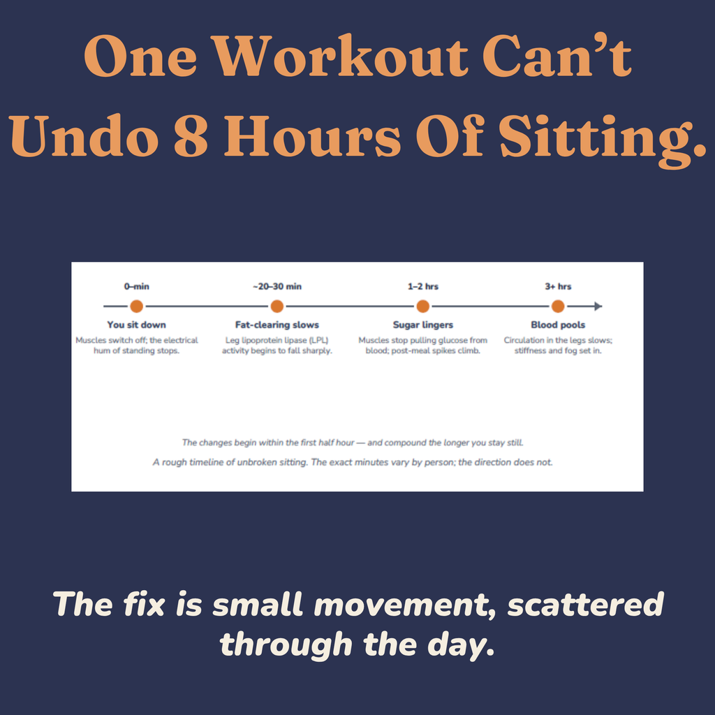 Timeline showing what prolonged sitting does to the body over hours