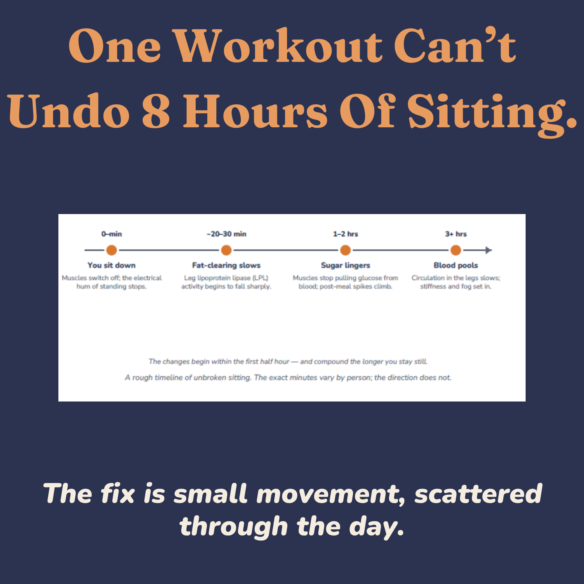 Timeline showing what prolonged sitting does to the body over hours