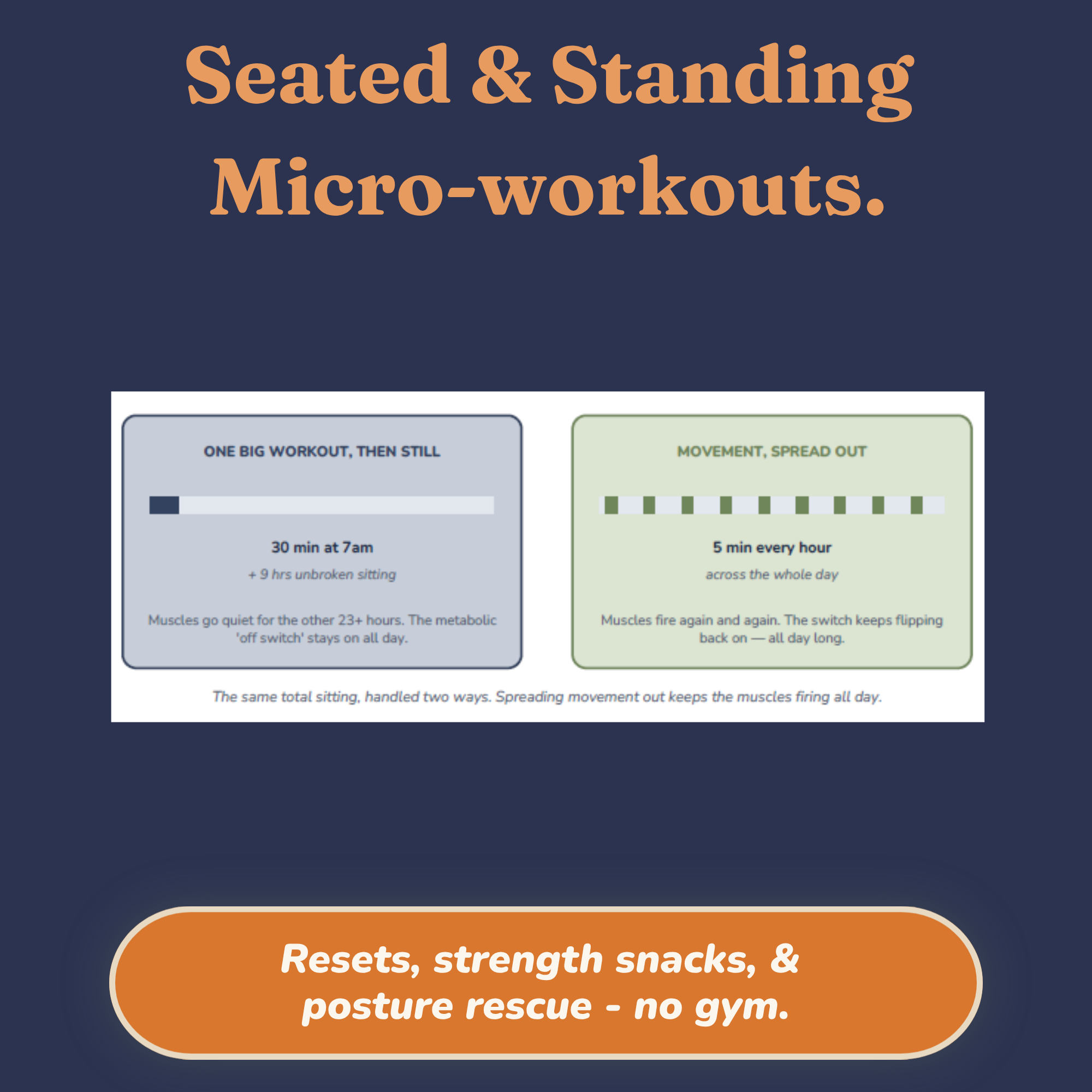 Overview of the seated and standing micro-workouts included in the guide