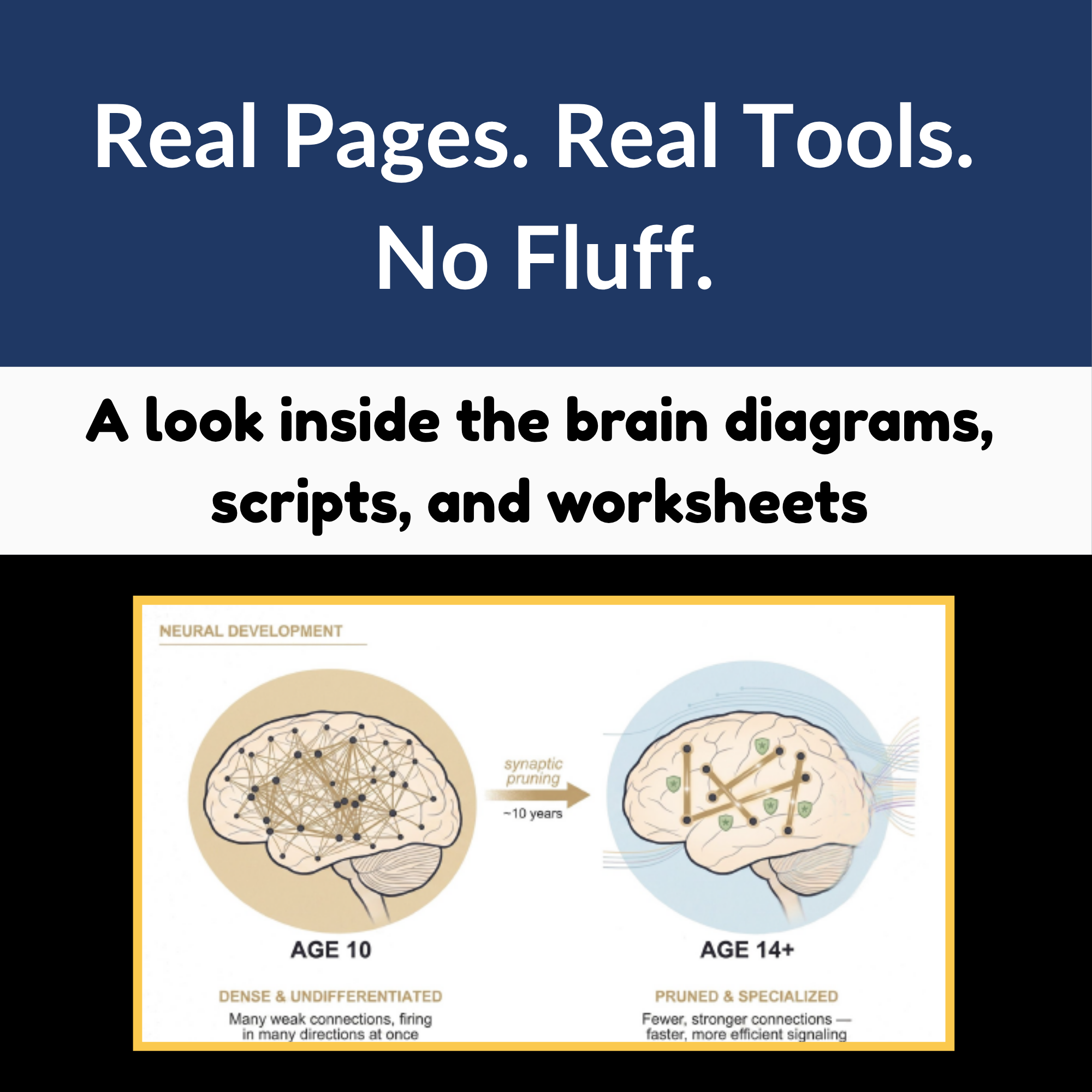 Interior page preview of the pruning brain diagram from the tween parenting guide