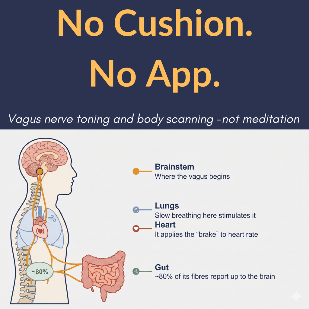 The 10-Minute Reset: Daily Somatic Flows to Calm Your Nervous System