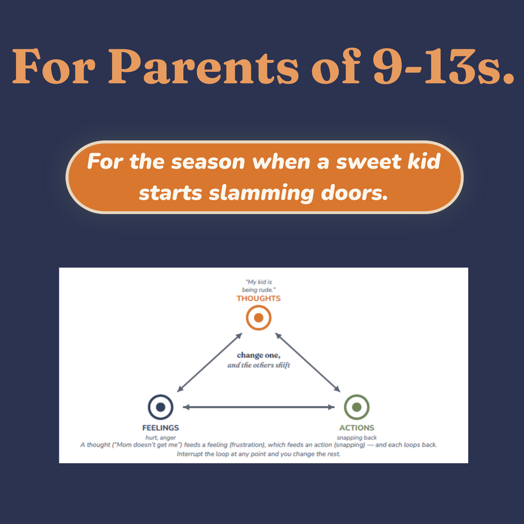 Who the tween parenting and emotional regulation guide is for