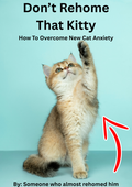 New cat anxiety guide for first-time owners, printable PDF cover