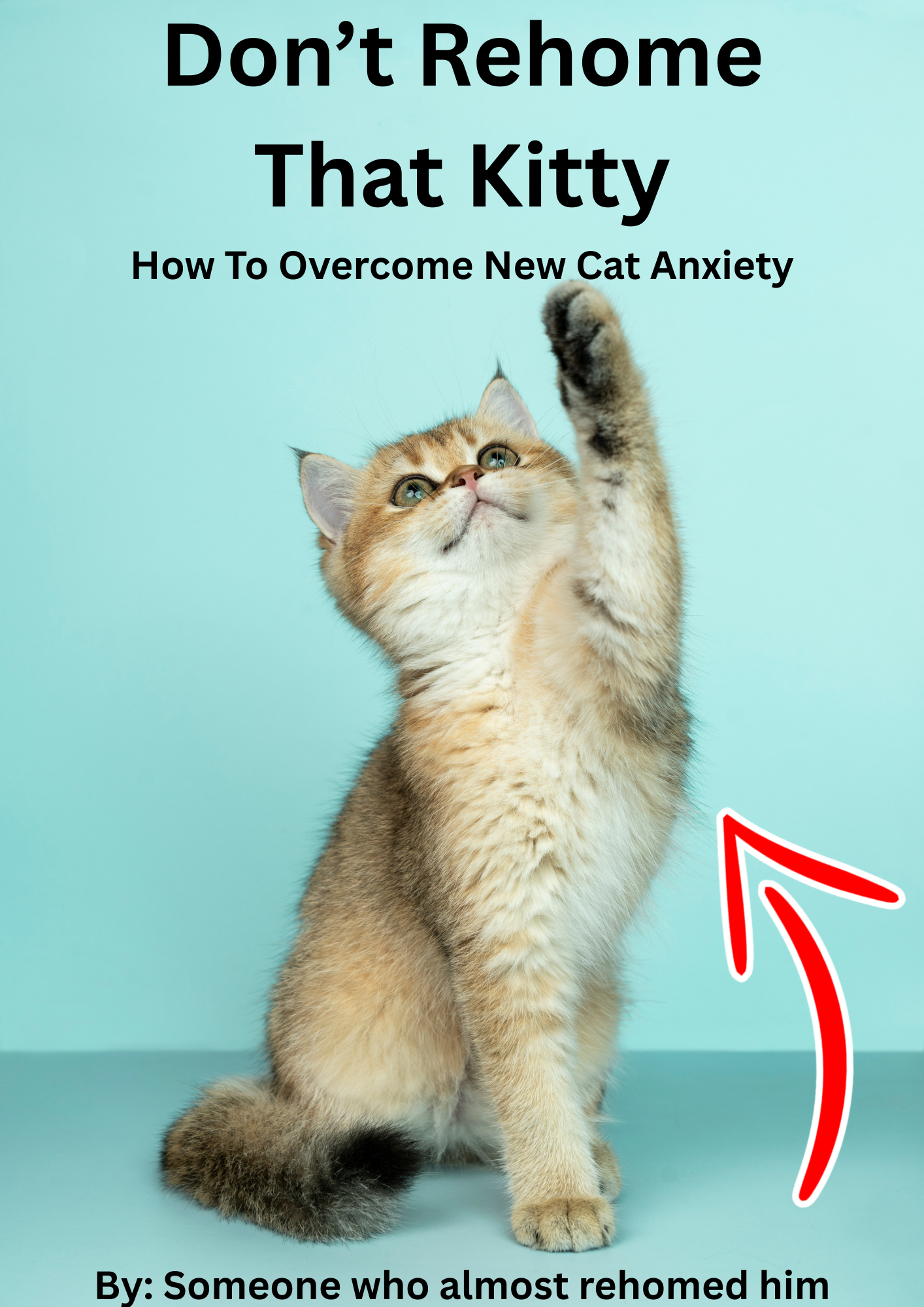New cat anxiety guide for first-time owners, printable PDF cover